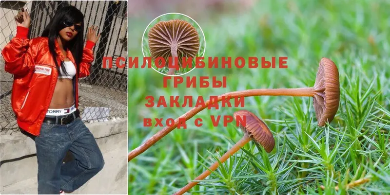 Галлюциногенные грибы Magic Shrooms  Глазов 